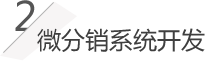微分銷(xiāo)系統(tǒng)開(kāi)發(fā)