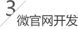 微官網(wǎng)開(kāi)發(fā)